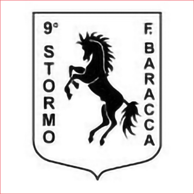 Lo stemma del 9 Stormo di Grazzanise-nuovi clienti gifra service